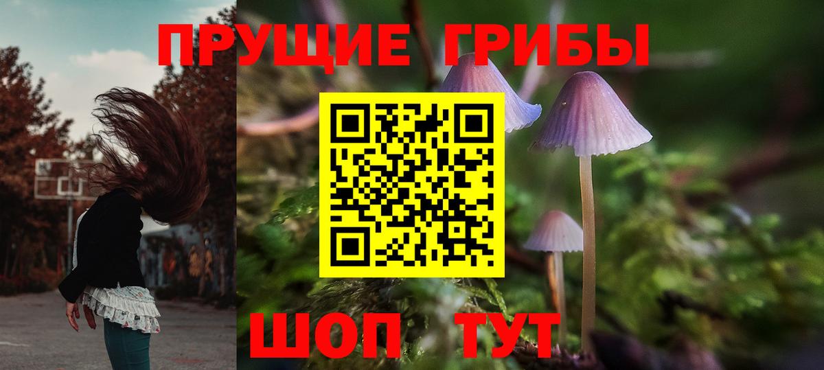 Галлюциногенные грибы ЛСД  Вход с VPN  Кузнецк 